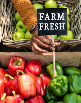 person holding farm fresh label next to bell peppers